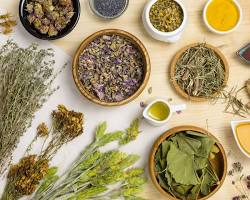 The Great Reset: Supporting Your Body Through the Journey of Cessation