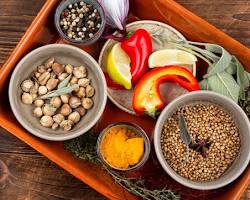 Restoring the Inner Fire: A Deep Dive into Digestive Vitality